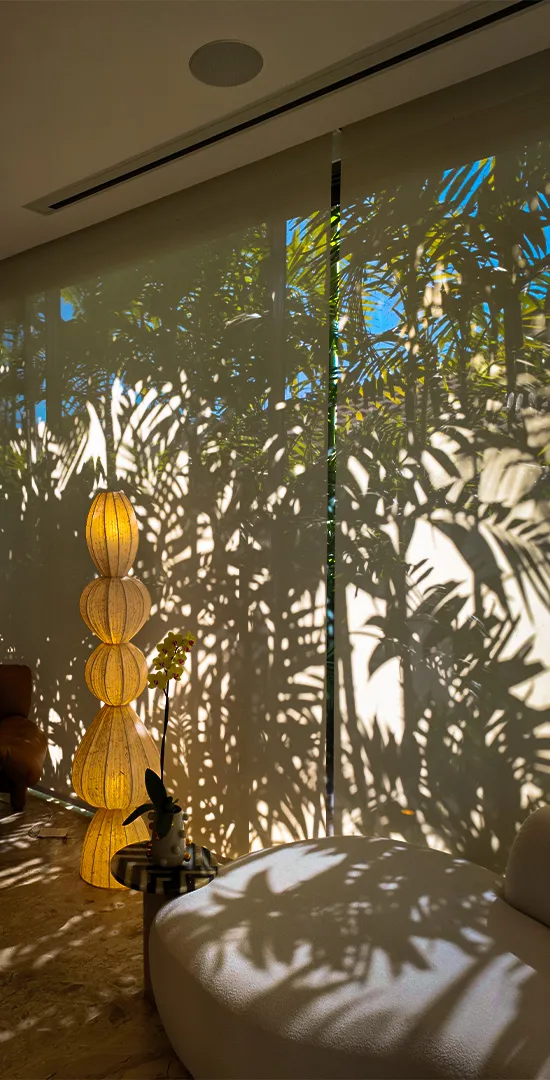 Sombras de palmeiras sendo refletidas em tecido de persiana Rolô Sanlui com acionamento automático